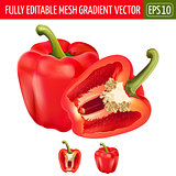 Red pepper on white background. Vector illustration