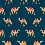Camel cartoon vector seamless pattern on blue.