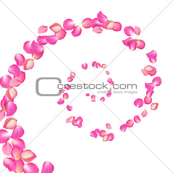 Spiral of flying sakura petals. Realistic vector pink petals on white background.