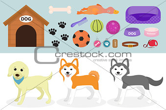Dogs stuff icon set with accessories for pets, flat style, isolated on white background. Domestic animals collection with a Husky, akita inu, lablador. Puppy toy. Vector illustration, clip art.