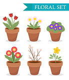 Flower pot with different flowers set, flat style. Flowerpot Collection isolated on white background. Vector illustration, clip art.
