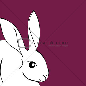 Easter white Rabbit animal cartoon