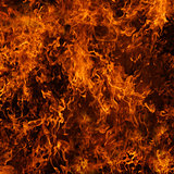 Background of fire. A continuous