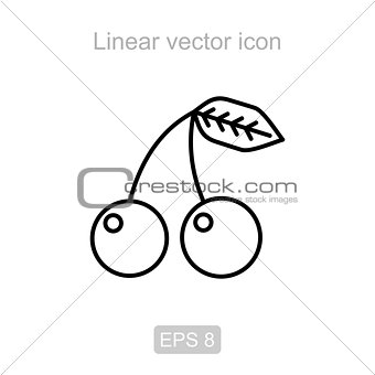 Cherry. Linear vector icon.
