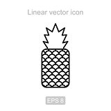Pineapple. Linear vector icon.