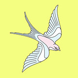 Flying swallow or swift tattoo design.