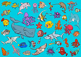 sea life animals cartoon set