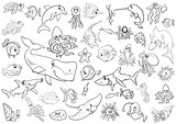 sea life animals coloring page