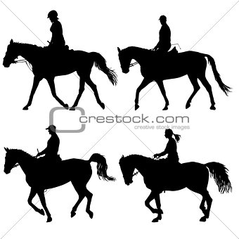 Set vector silhouette of horse and jockey