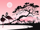 Landscape with two flamingos