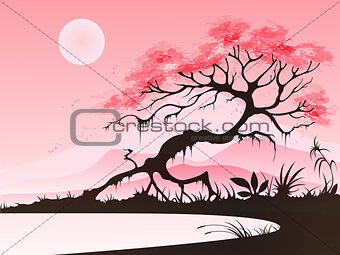 Landscape with cherry blossom