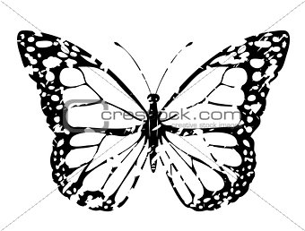 vector grunge butterfly