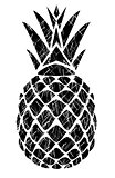 vector pineapple isolated