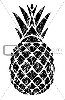 vector pineapple isolated