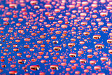 the Abstract blue-red background of water drops on glass with reflection green macro