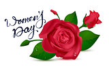 Womens Day lettering text for greeting card. Red rose on white background