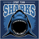 Strong shark sports mascot. Vector illustration.