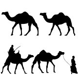 Silhouettes of camels with camel drovers
