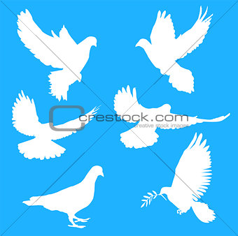 White silhouettes of doves