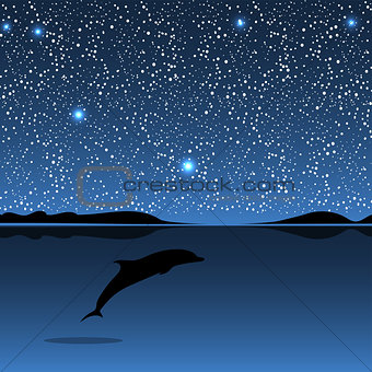 Dolphin sea animal night landscape