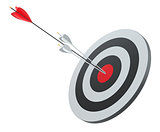 Arrow hit the center of red target