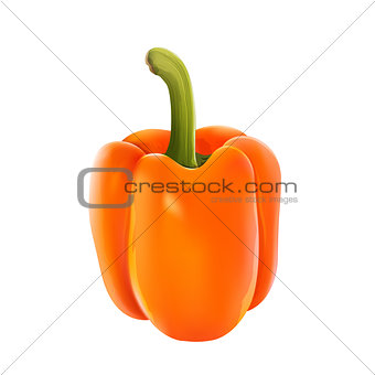 Orange pepper on white background