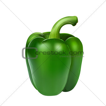 Green pepper on white background