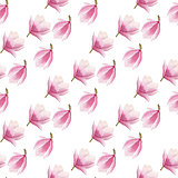 watercolor blooming magnolia seamless pattern isolated on white background.