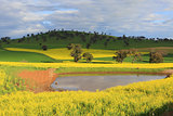 Scenic farmlands landscape