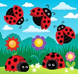 Stylized ladybugs theme image 4