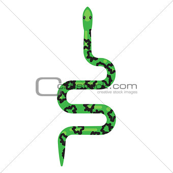 Green snake cartoon vector illustration on white.