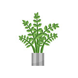 Fern.House plant realistic icon for interior decoration . Coniferous plant in flowerpot. vector illustration