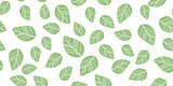 seamless leaves isolated