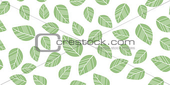 seamless leaves isolated