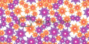 orange and violet flowers