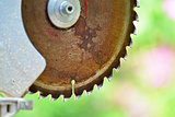 Circular saw on background of nature in summer