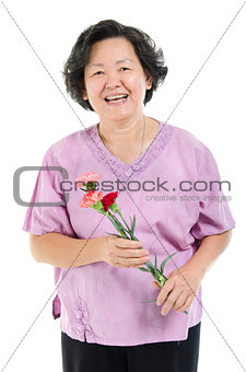 Mother and carnation flower