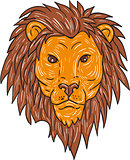 Male Lion Big Cat Head Drawing