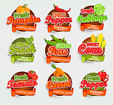Vegetables logo, vector.