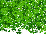 Background with clovers, St. Patrick s Day background .Vector illustration