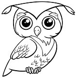 cute owl coloring page