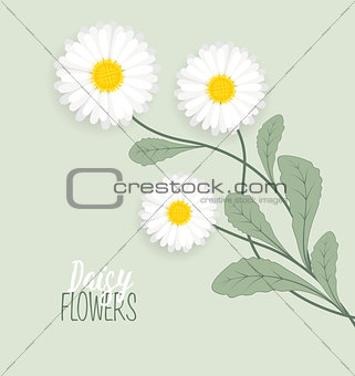 Meadow floral background