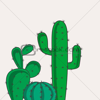 Cactus desert plants