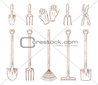 hand drawn garden tools set