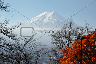 Mt Fuji in autumn season
