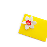 Close up of yellow envelope with flower