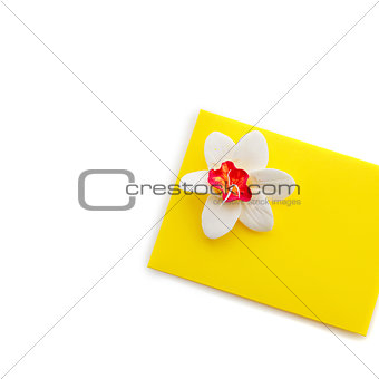 Close up of yellow envelope with flower