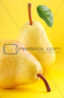 yellow pear fruits with green pear leaf on yellow background