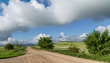 Beautiful landscape of steppe road