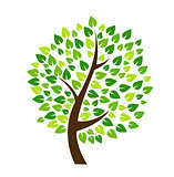 Tree Icon vector illustration